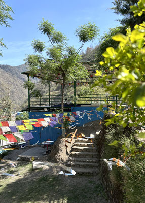 maasa-retreat-resort-blockprint-retreat-and-yoga-rishikesh art craft workshop trip rishikesh shivpuri
